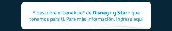 imagenes-boletin-max
