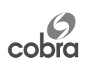 Logo cobra