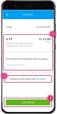 Paso 5 - 6 - 7