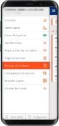 BCP - Recarga Paso 2