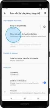 redes - paso 3